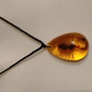 🦂 REAL brown scorpion in amber on adjustable rope necklace/choker
